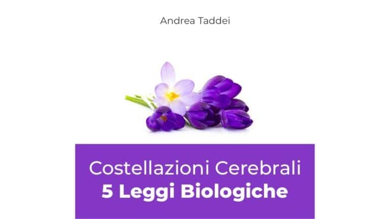 5lb costellazioni