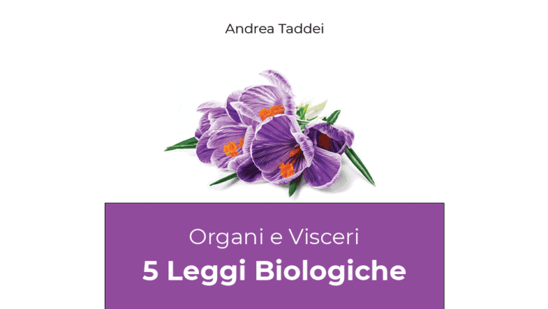 5lb organi visceri